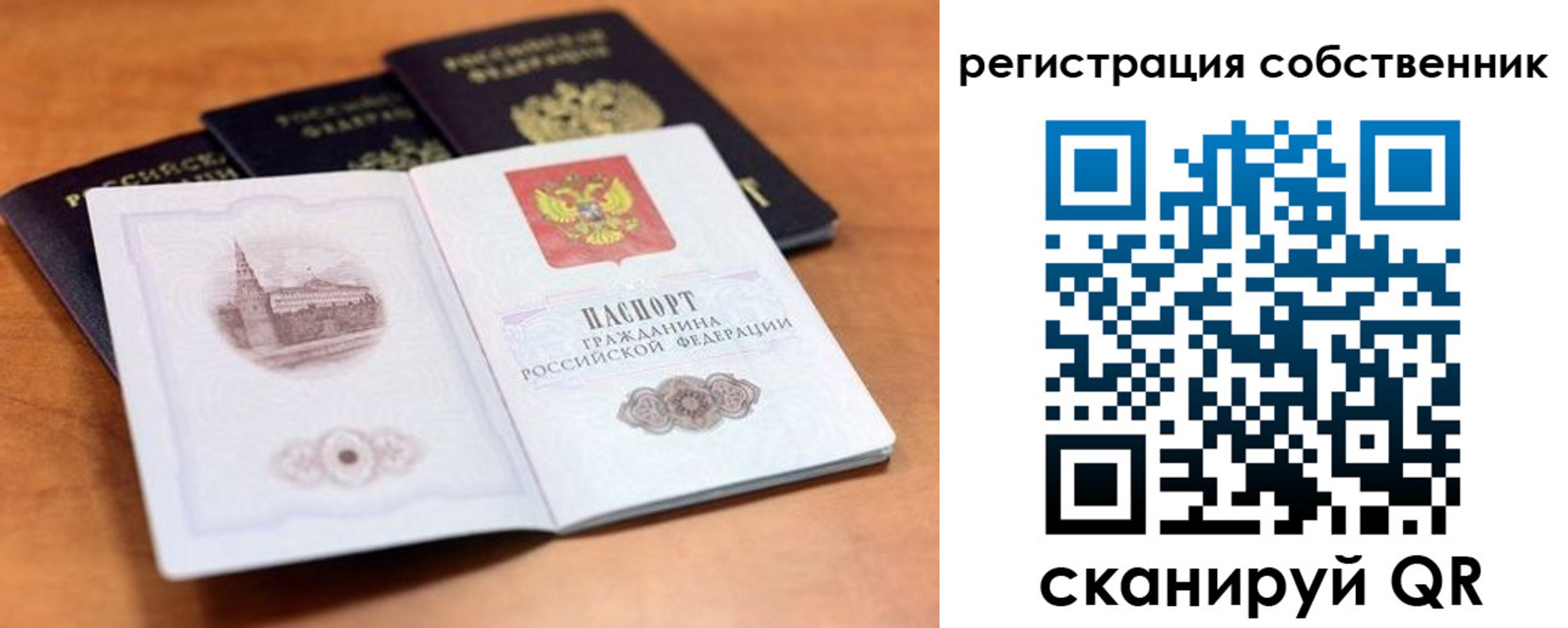 прописка поиск в Коми